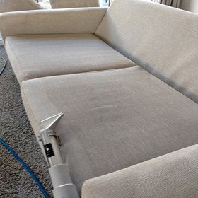 Couch Cleaning Auckland
